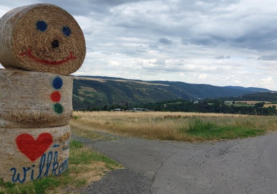 Radweg am Heumännchen | © T. Biersch Radweg am Heumännchen | © T. Biersch