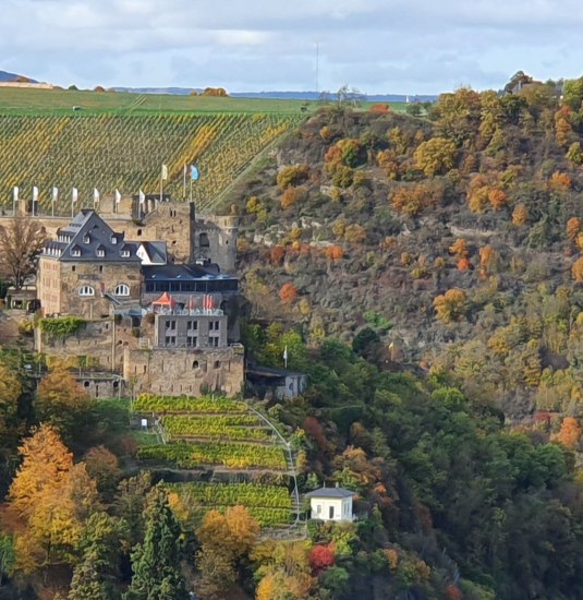 Rheinfels von Richtung Werlau  | &copy; TI Hunsr&uuml;ck-Mittelrhein