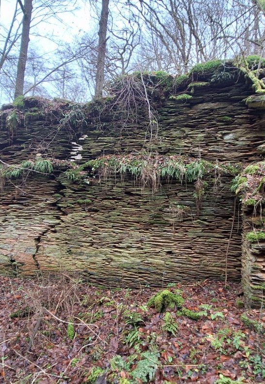 M&uuml;hlenruine -- | &copy; T. Biersch