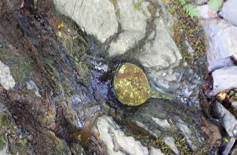 Schessels-Beersche | © G. Liesenfeld Schessels-Beersche | © G. Liesenfeld