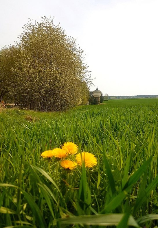 Blick zum Wasserturm | &copy; TI Hunsr&uuml;ck-Mittelrhein