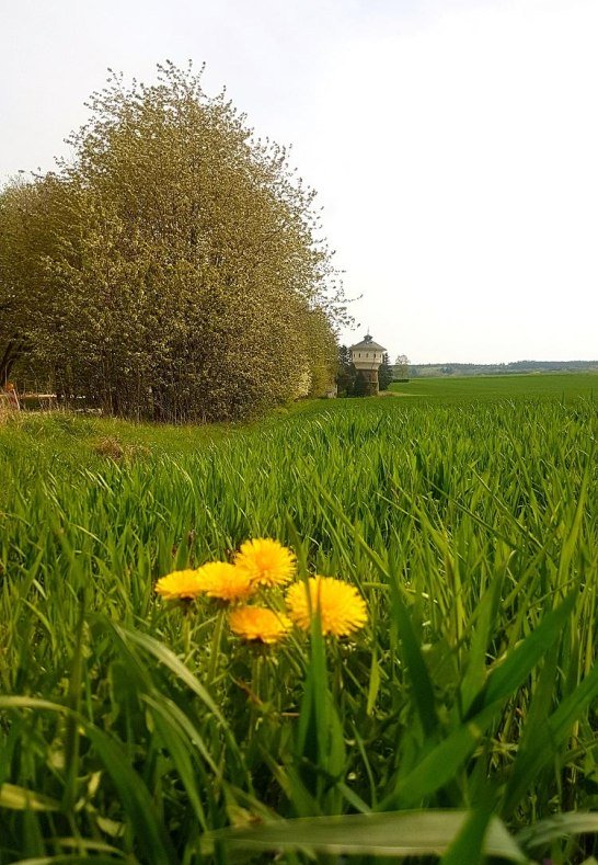 Blick zum Wasserturm | &copy; TI Hunsr&uuml;ck-Mittelrhein