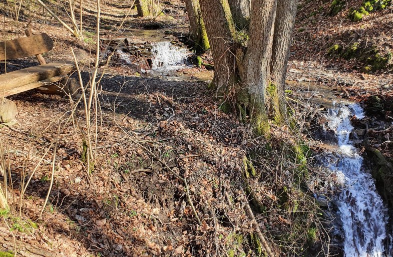 Wasserfall mit Ruhebank | &copy; T. Biersch