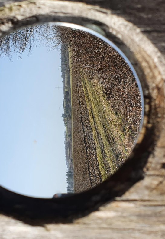 Landschaft im Spiegel | © T. Biersch