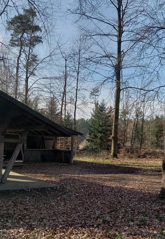 Grillh&uuml;tte am Waldrand | &copy; C. Vogt