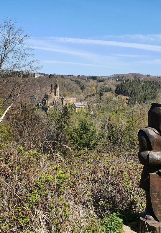 Ehrenburgblick Ritter fern | &copy; TI Hunsr&uuml;ck-Mittelrhein