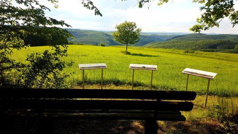 Eifelblick | © T. Biersch