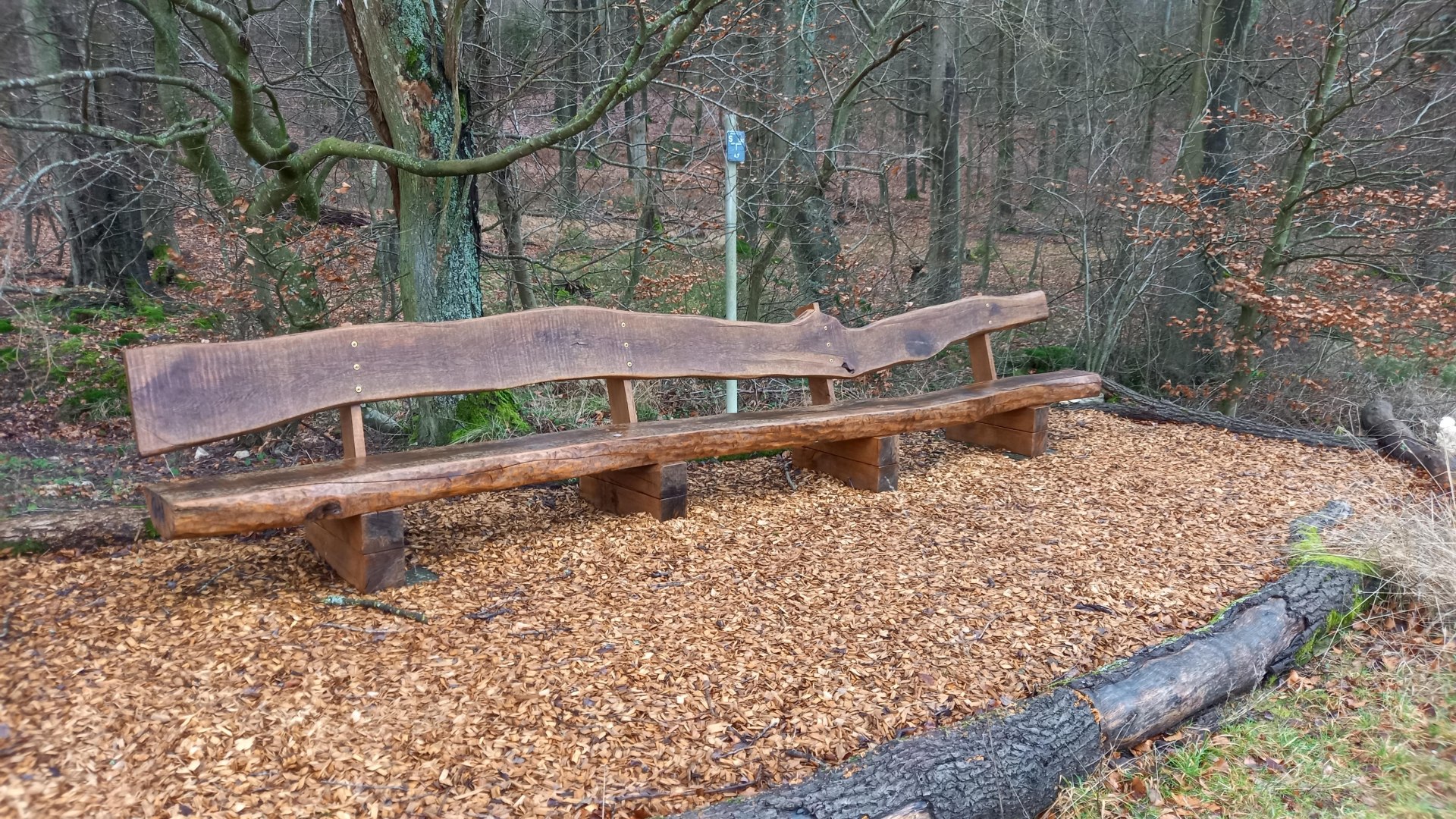 Ruhebank | © C. Vogt Ruhebank | © C. Vogt