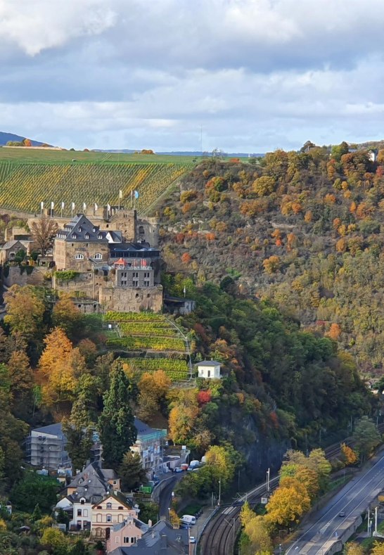 Aussicht zur Burg Rheinfels | &copy; T. Biersch