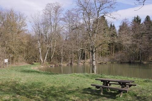 Waldsee | &copy; Bernhard Vogt