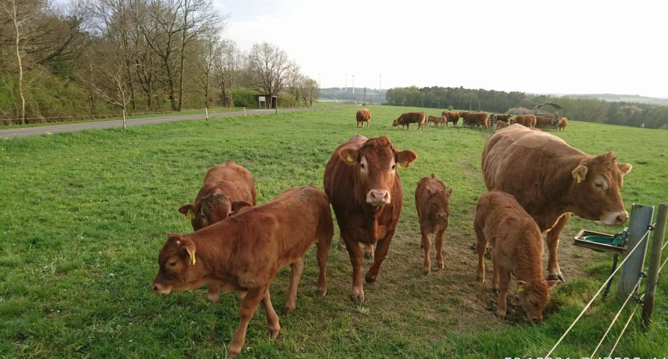 Am Sonnenhof | &copy; B. Vogt