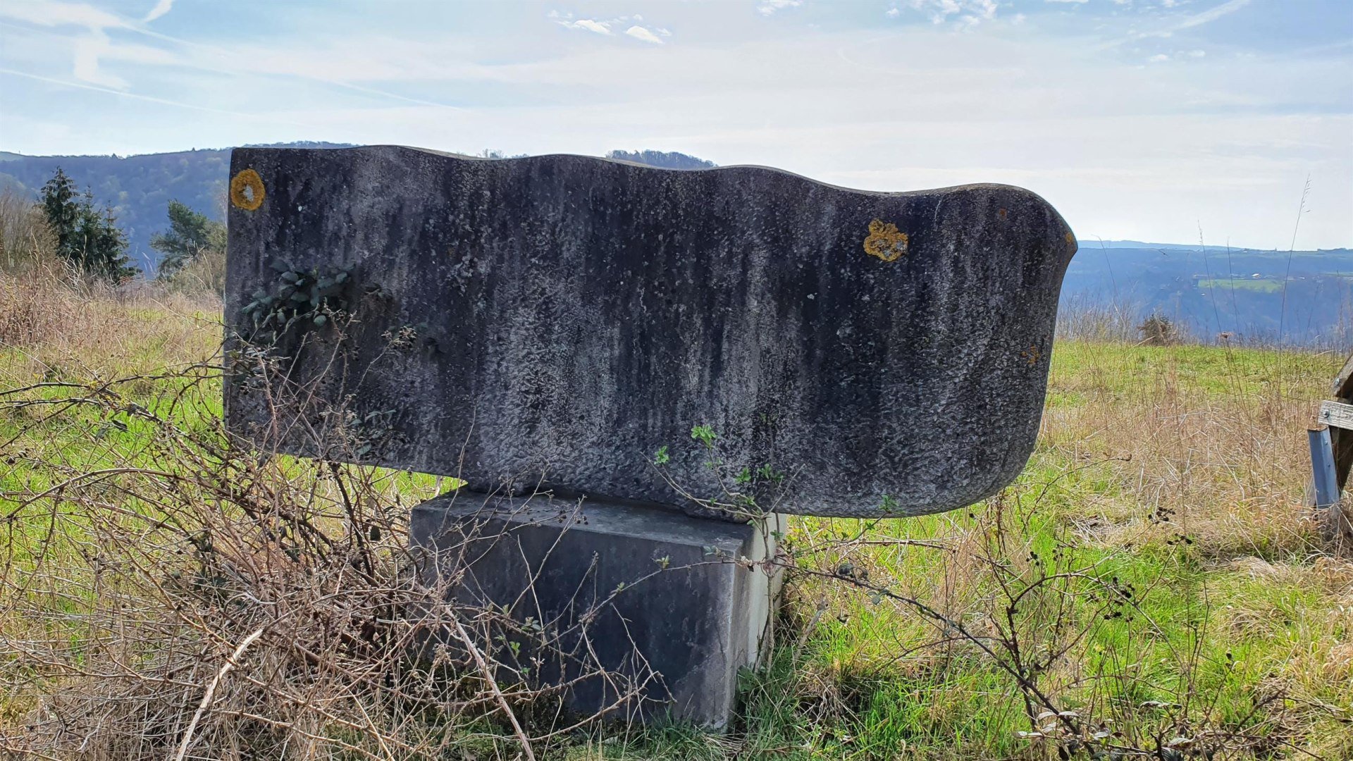 "Vogel" | &copy; T. Biersch