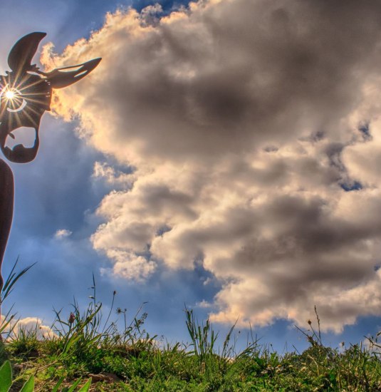 Stahlesel links, Sonne durch Auge, große Wolke | © Klaus Breitkreutz