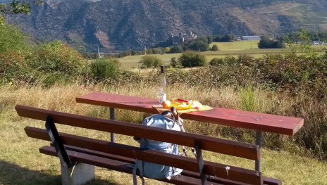 Picknickbank auf der Bitz mit Sch&ouml;nburgblick | &copy; E. Bender