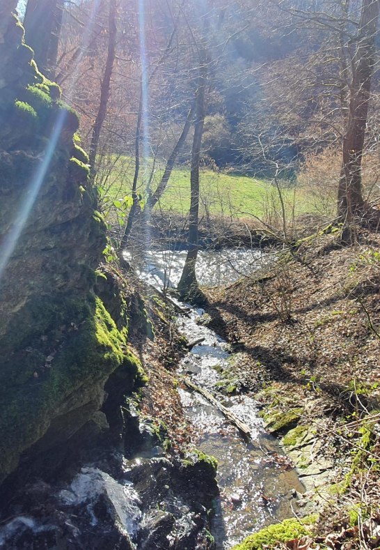 Murscher Bach | © T. Biersch