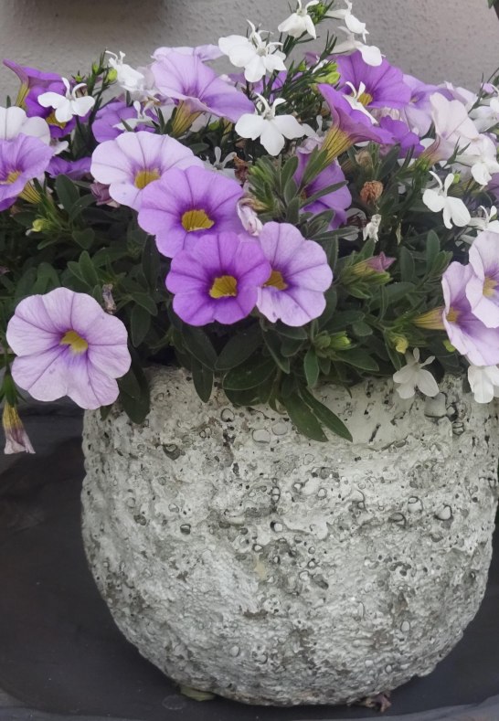 Deko | © Karin Weber