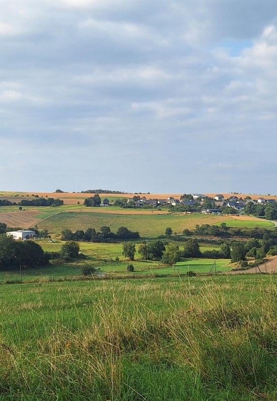 Fernblick vom Ginsterberg | © TI Hunsrück-Mittelrhein