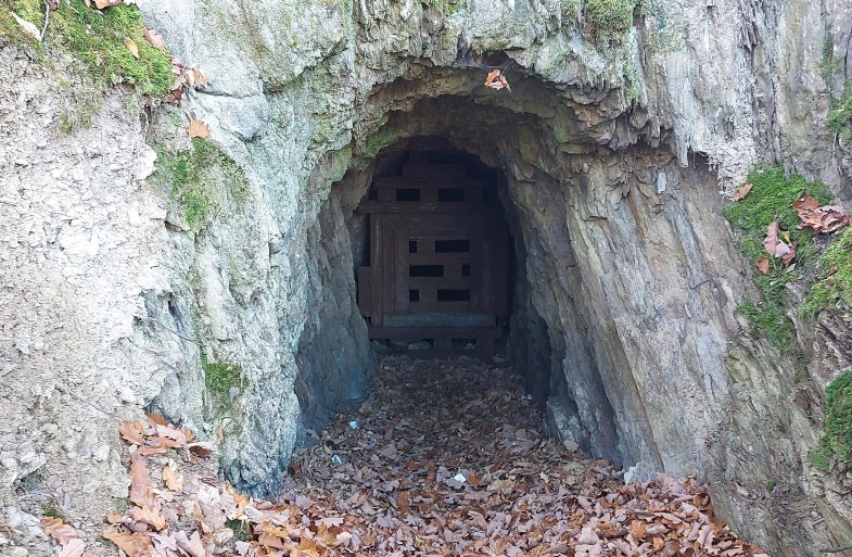 Eingang Grube | © T. Biersch