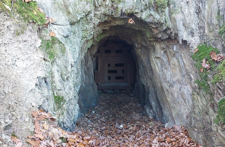 Eingang Grube | © T. Biersch