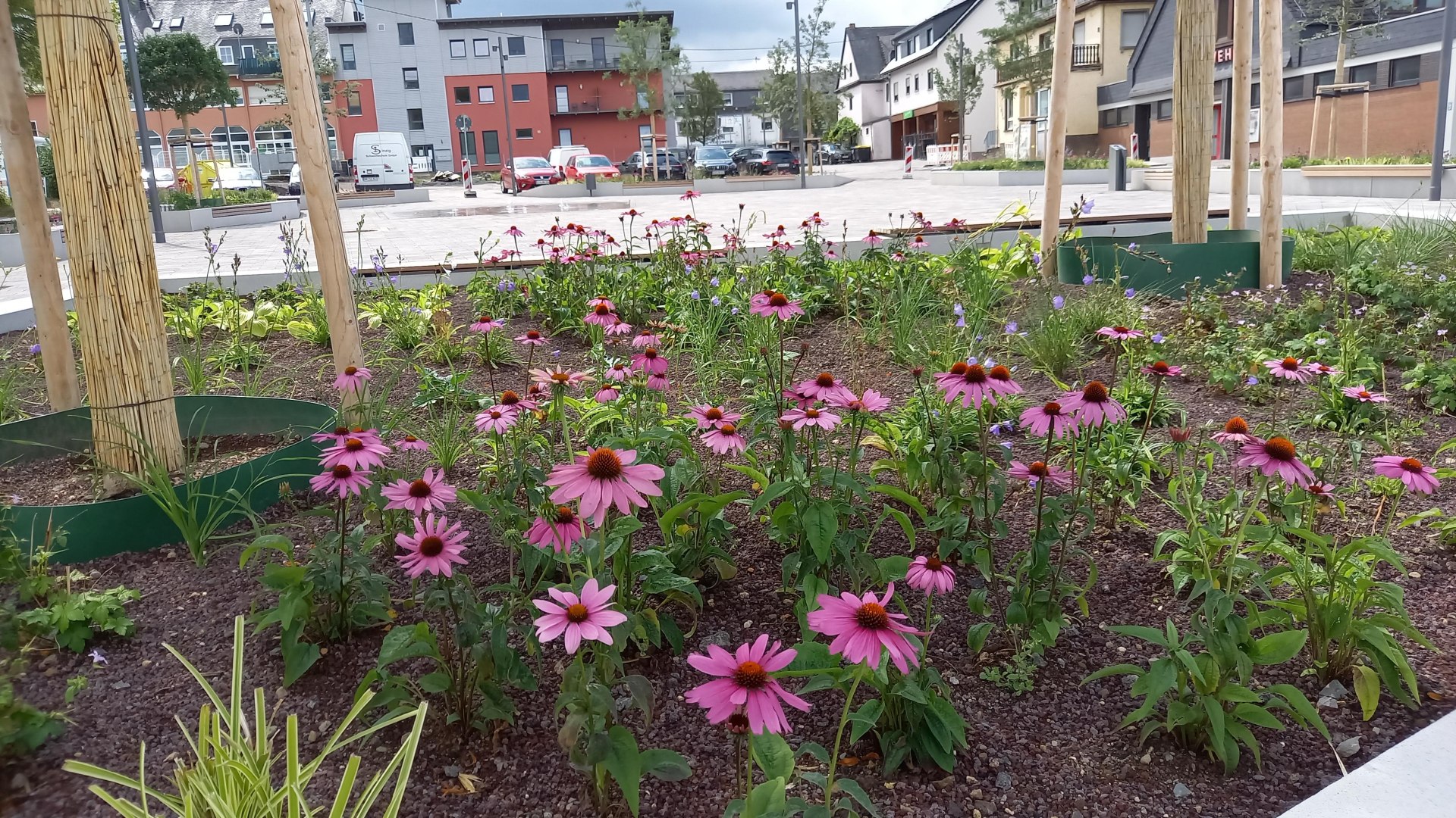 Blumenbeet am Marktplatz | © C. Vogt