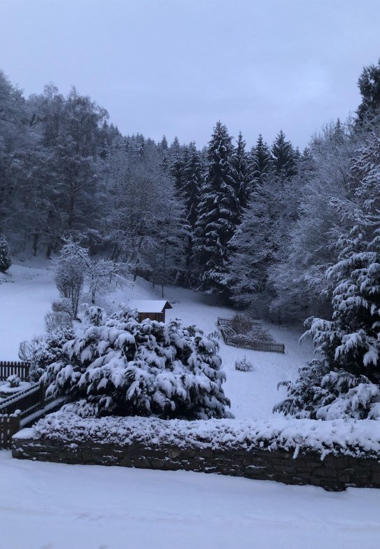 Garten bei Schnee | © Anna Becker
