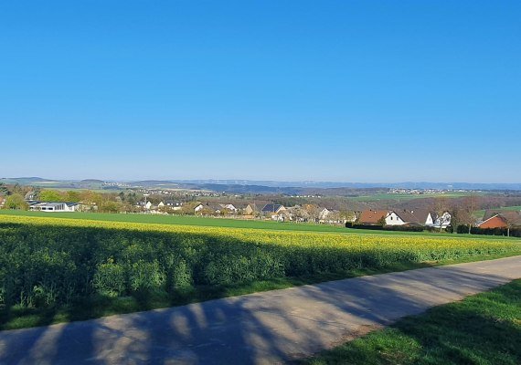 Eifelblick Mermuth am Radweg | © T. Biersch Eifelblick Mermuth am Radweg | © T. Biersch