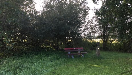 Ruhebank am Biotop | &copy; Michael Rach