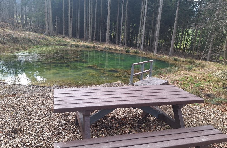 Picknickbank am Himmelsteich | &copy; T. Biersch