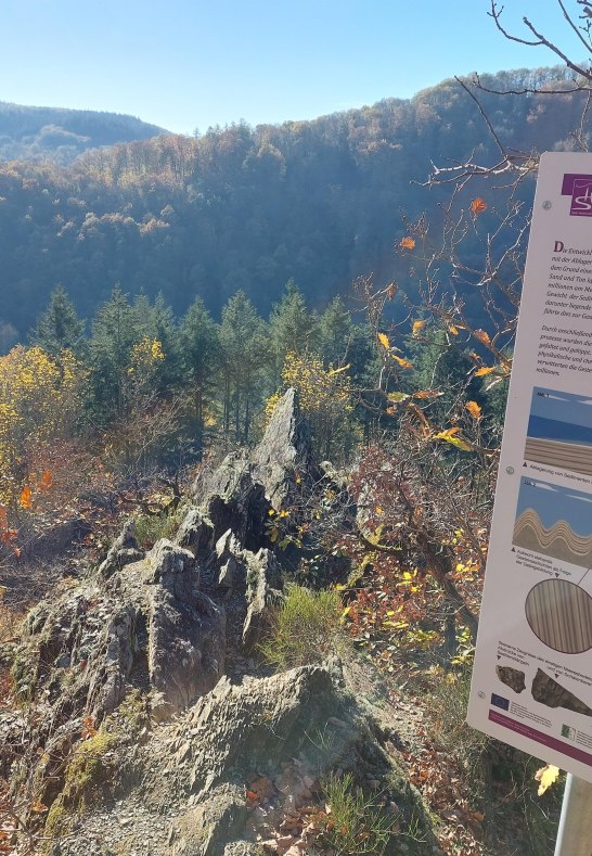 Felsen mit Infotafel | © T. Biersch