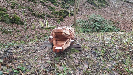 Das Krokodil | &copy; T. Biersch