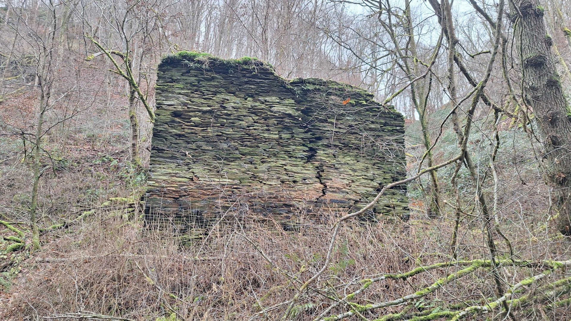M&uuml;hlenruine an der Rauschenburg | &copy; T. Biersch