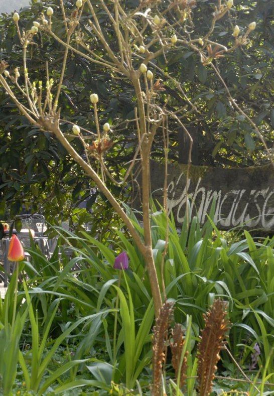 Eingang | © N. Sander Eingang | © N. Sander