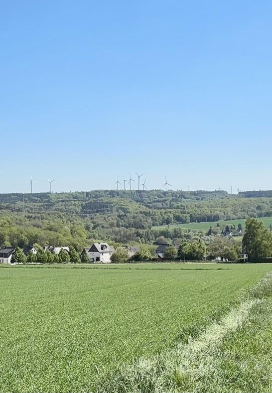 Norath im Mai | &copy; D. Meyer