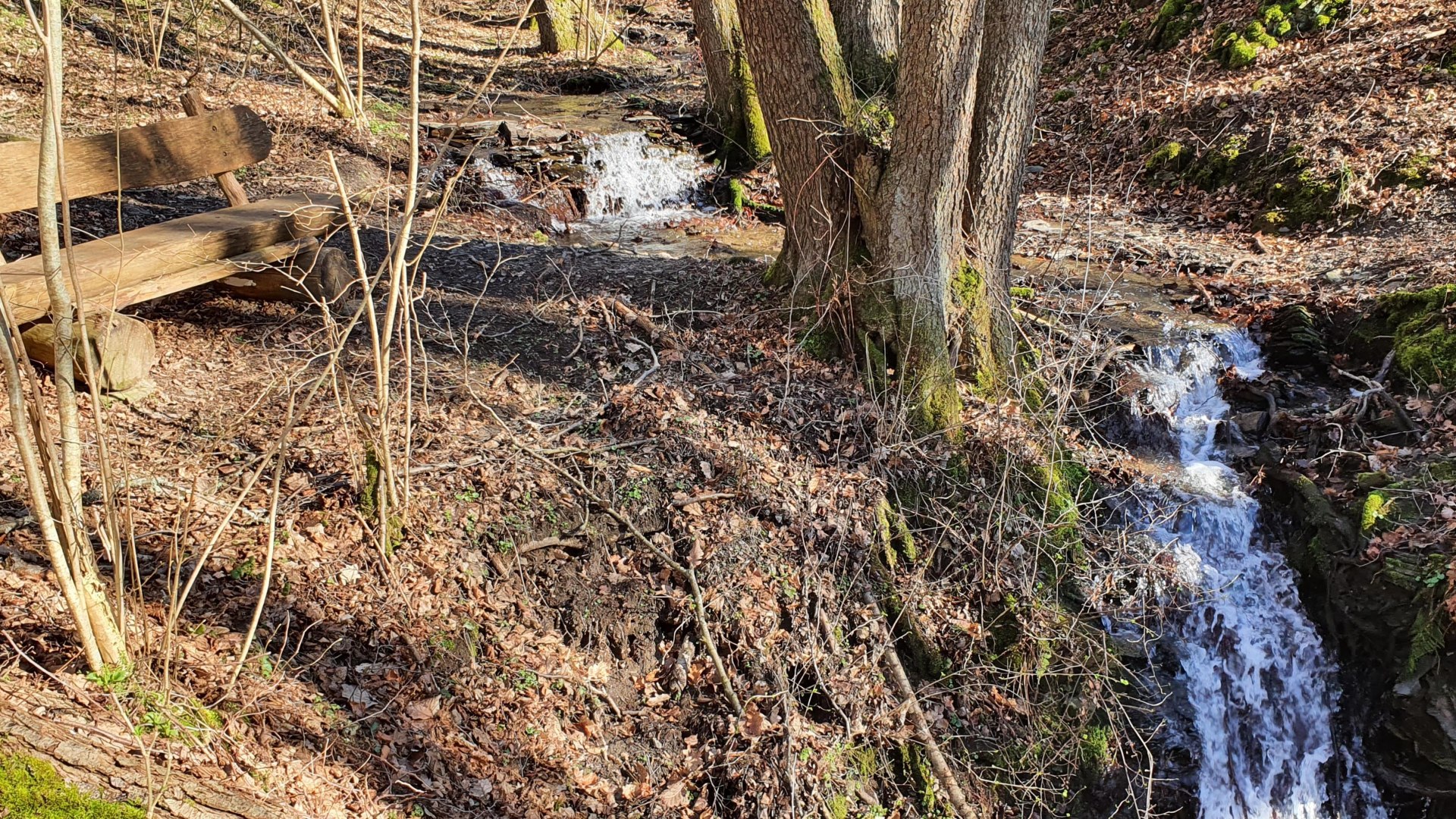 Wasserfall mit Ruhebank | &copy; T. Biersch