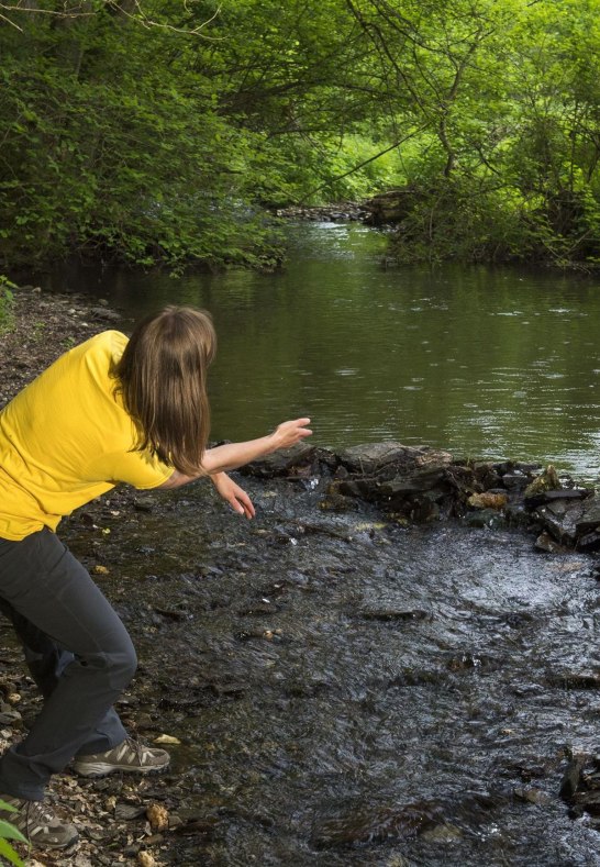 Perdskimbel Steine | &copy; Wanderb&uuml;ro Saar-Hunsr&uuml;ck - Klaus-Peter Kappest