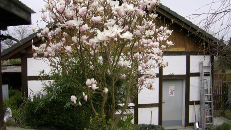 Intasienmuseum Eingang | © C. Schmeisser