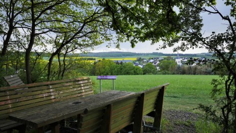 Eifelblick mit Aussicht auf Bickenbach | © B. Vogt