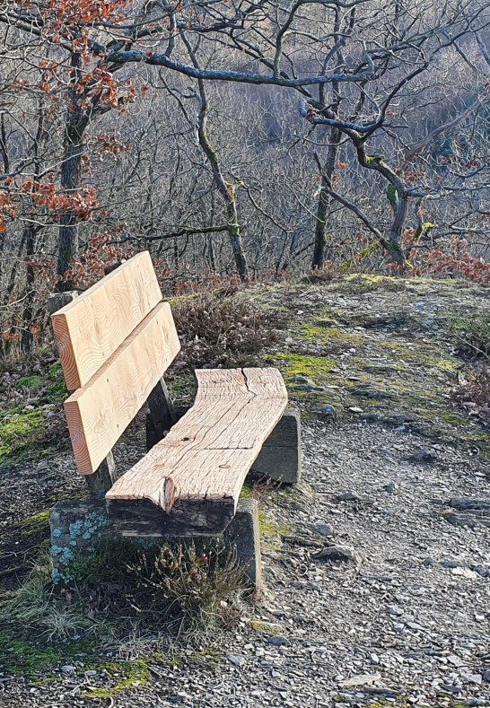 Ruhebank auf der Kieslei | © T. Biersch Ruhebank auf der Kieslei | © T. Biersch