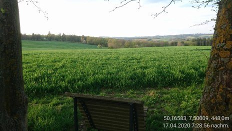 Ehrbachblick mit Ruhebank | &copy; B. Vogt