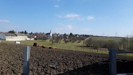 Halsenbach Ort