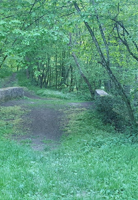 S-H-S an der Roskerbr&uuml;cke | &copy; T. Biersch