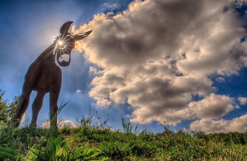 Murscher Stahlesel | &copy; Klaus Breitkreutz