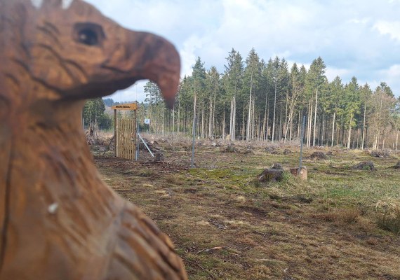Am Kinderwald | © T. Biersch