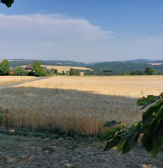 &copy; TI Hunsr&uuml;ck-Mittelrhein