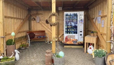 Regiomat | &copy; Antonia Roos