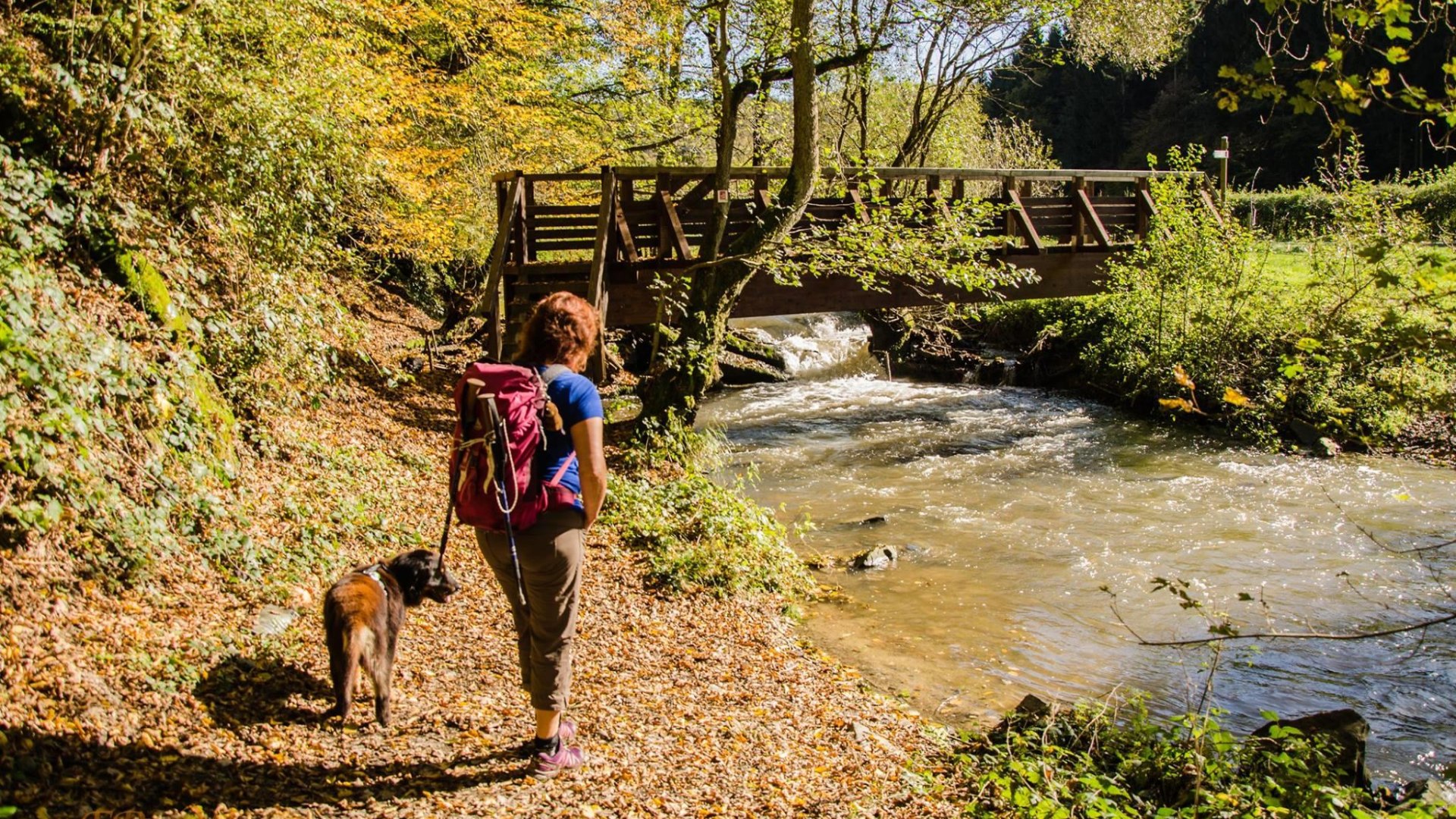 Brücke an der Mohrenmühle | © T. Biersch Brücke an der Mohrenmühle | © T. Biersch