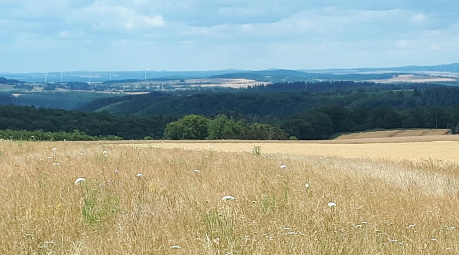 Fernblick am Wanderweg | © G. Liesenfeld