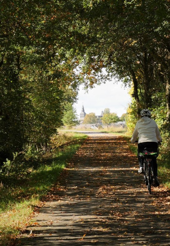 Radweg bei Lingerhahn | © B. Vogt