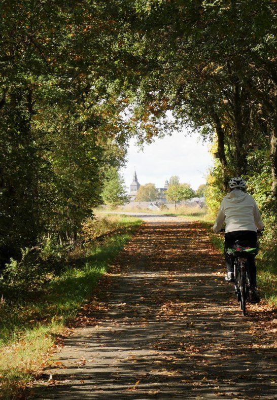 Radweg bei Lingerhahn | © B. Vogt