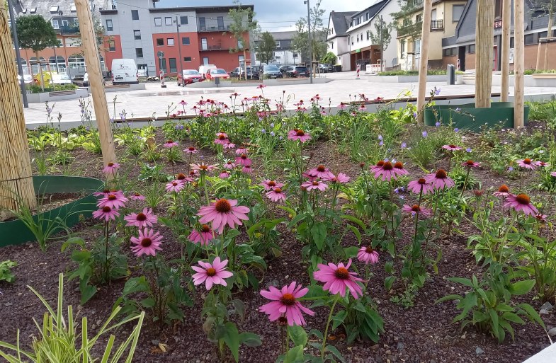 Blumenbeet am Marktplatz | © C. Vogt